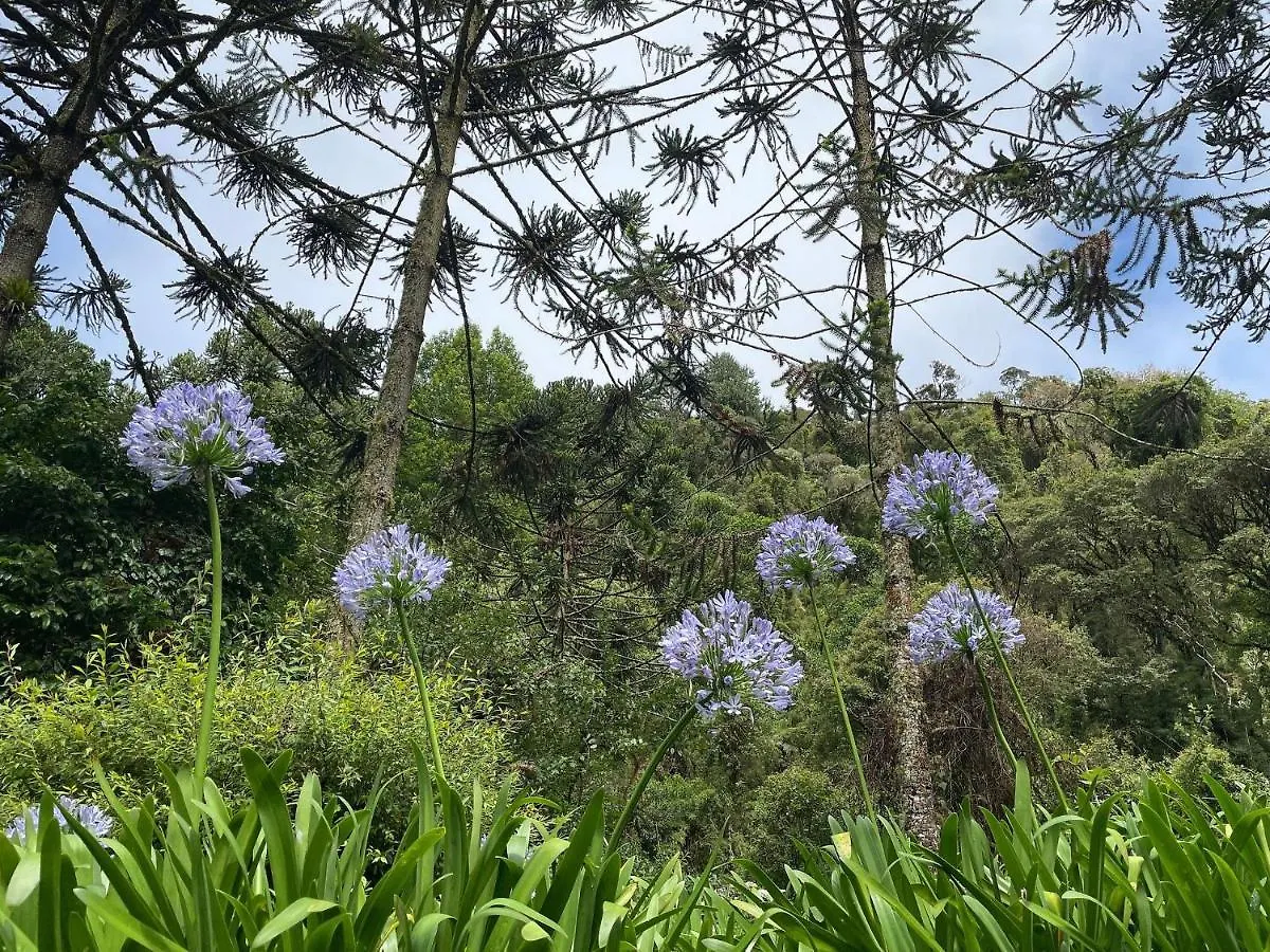 Vale Do Lajeado - Mountain Chalets Campos do Jordao Holiday home